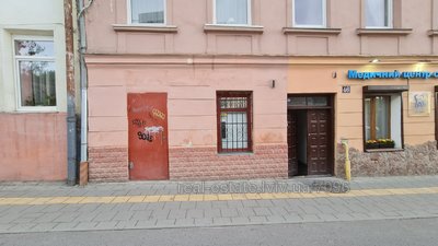 Commercial real estate for rent, Non-residential premises, Shevchenka-T-vul, Lviv, Shevchenkivskiy district, id 4501285