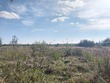 Buy a lot of land, st. Grushevskogo, Ukraine, Ternopole, Mikolajivskiy district, Lviv region, , 633 500