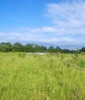 Buy a lot of land, Ukraine, Sukhovolya, Gorodockiy district, Lviv region, , 497 700