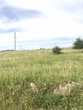 Buy a lot of land, Ukraine, Porshna, Pustomitivskiy district, Lviv region, , 718 000