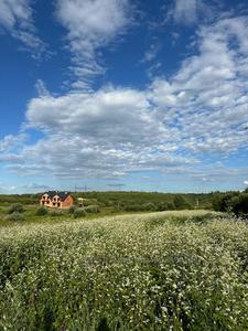 Buy a lot of land, agricultural, Kulparkivska-vul, Lviv, Frankivskiy district, id 4711539