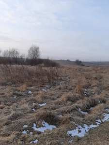 Buy a lot of land, agricultural, пай, Prilbichi, Yavorivskiy district, id 5099616