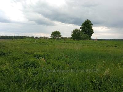 Buy a lot of land, for building, Kozhichi, Yavorivskiy district, id 4724732