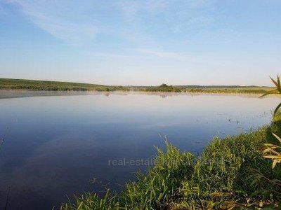 Buy a lot of land, Шевченка, Chishki, Pustomitivskiy district, id 4682056
