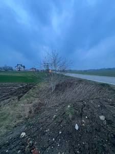 Buy a lot of land, for building, Кільцева, Birki, Yavorivskiy district, id 4448248