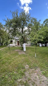 Buy a house, Mansion, Шкільна, Peremishlyani, Peremishlyanskiy district, id 4690524