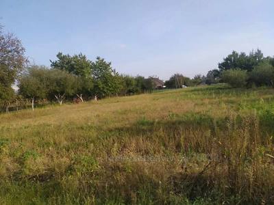 Buy a lot of land, Rakovec, Pustomitivskiy district, id 4734729