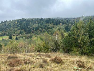 Buy a lot of land, agricultural, Korchin, Skolivskiy district, id 5100647