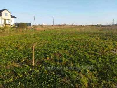 Buy a lot of land, шкільна, Zubra, Pustomitivskiy district, id 4720022