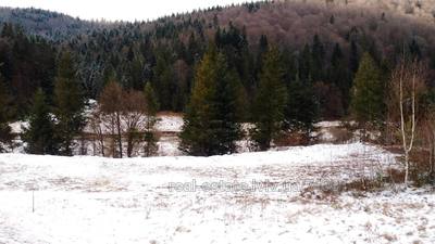 Buy a lot of land, for building, Kamenka, Skolivskiy district, id 5095729