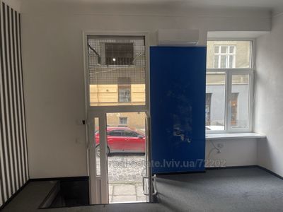 Commercial real estate for rent, Grushevskogo-M-vul, Lviv, Galickiy district, id 4871993