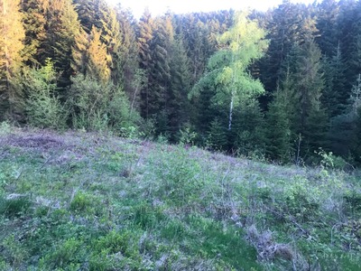Buy a lot of land, for building, Івана Франка, Skhidnica, Drogobickiy district, id 4600703