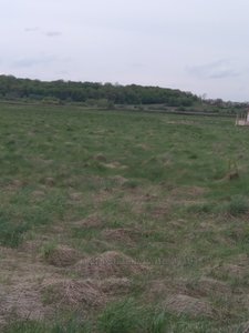 Buy a lot of land, for building, Pasichna-vul, Lviv, Lichakivskiy district, id 4893359