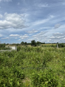 Buy a lot of land, for building, Вітру, Krotoshin, Pustomitivskiy district, id 5137882