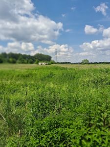 Купити ділянку, Зимна Вода, Пустомитівський район, id 4955553