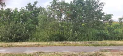 Buy a lot of land, agricultural, за сокаром, Pidryasnoe, Yavorivskiy district, id 5111571