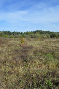 Buy a lot of land, Lukasevicha-I-vul, Lviv, Shevchenkivskiy district, id 4856082