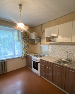 Rent an apartment, Czekh, Sikhivska-vul, Lviv, Sikhivskiy district, id 4699353