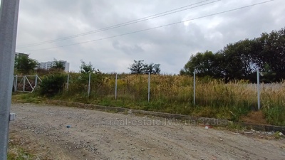 Buy a lot of land, Truskavetska Street, Sokilniki, Pustomitivskiy district, id 5028054