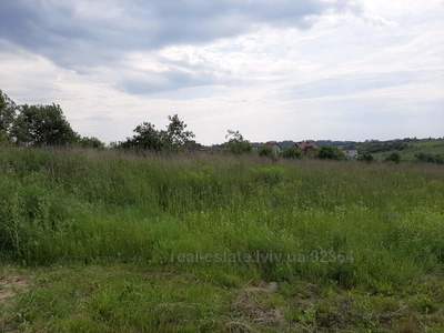 Buy a lot of land, commercial, при трасі, Pidryasnoe, Yavorivskiy district, id 4702766