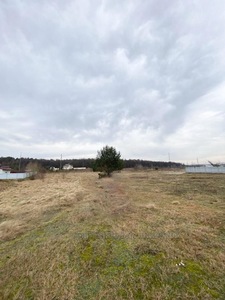 Buy a lot of land, Ryasne-Rus'ke, Lvivska_miskrada district, id 4413384
