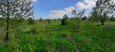 Buy a lot of land, agricultural, осг, Obroshinoe, Pustomitivskiy district, id 5119059