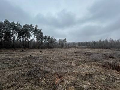 Buy a lot of land, commercial, Центральна, Ryasne-Rus'ke, Lvivska_miskrada district, id 5136048