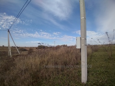 Buy a lot of land, Оз, Shhirec, Pustomitivskiy district, id 4890096