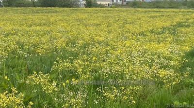 Купити ділянку, сільськогосподарського, Бартатів, Городоцький район, id 4866156