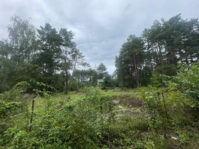 Buy a lot of land, Kurortna-Street, Bryukhovichi, Lvivska_miskrada district, id 4726572