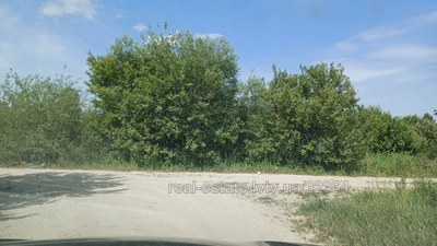 Buy a lot of land, commercial, бірки, Pidryasnoe, Yavorivskiy district, id 5089894