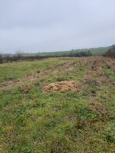 Купити ділянку, сільськогосподарського, Сокільники, Пустомитівський район, id 5025462