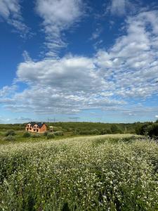 Buy a lot of land, agricultural, Kulparkivska-vul, Lviv, Zaliznichniy district, id 4962416