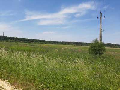 Buy a lot of land, agricultural, осг, Obroshinoe, Pustomitivskiy district, id 4628764