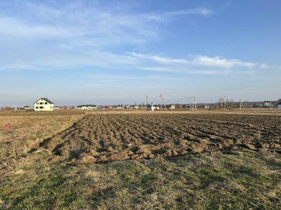 Buy a lot of land, Л, Mistki, Pustomitivskiy district, id 4841206