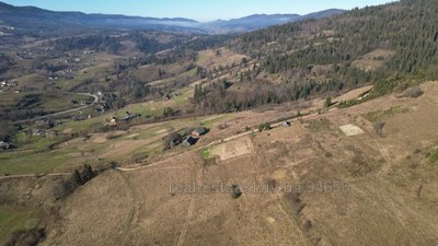 Buy a lot of land, agricultural, Plavya, Skolivskiy district, id 5026013