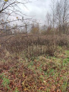 Buy a lot of land, for building, Nova Street, Sokilniki, Pustomitivskiy district, id 4852008