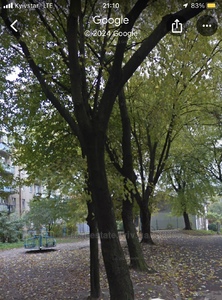 Buy an apartment, Stalinka, Boberskogo-I-vul, Lviv, Frankivskiy district, id 4716179