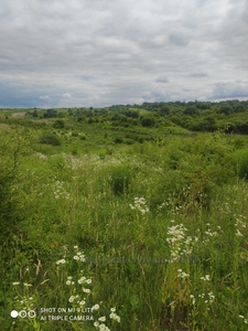 Купить участок, Сокольники, Пустомытовский район, id 4805521