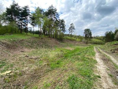 Buy a lot of land, Bryukhovichi, Lvivska_miskrada district, id 4883639