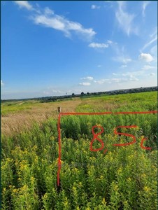 Buy a lot of land, Гоголя, Remeniv, Kamyanka_Buzkiy district, id 4716504