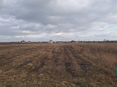 Buy a lot of land, for building, Л, Mistki, Pustomitivskiy district, id 5149966