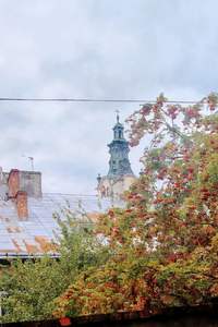 Купить квартиру, Дома старого Львова, Староеврейская ул., Львов, Галицкий район, id 5027929