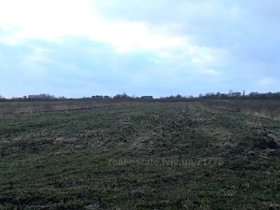 Buy a lot of land, agricultural, Yampol, Pustomitivskiy district, id 4602443