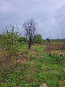 Buy a lot of land, for building, Birki, Yavorivskiy district, id 4544732