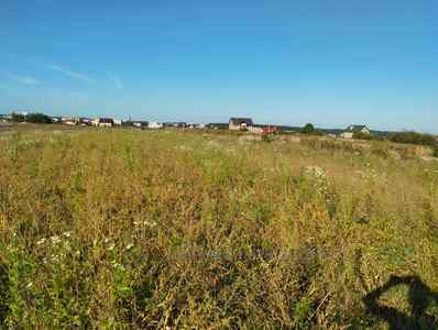 Buy a lot of land, for building, Зелена, Davidiv, Pustomitivskiy district, id 4698419