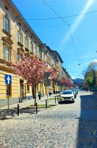 Buy an apartment, Austrian, Kotlyarska-vul, Lviv, Galickiy district, id 5086873