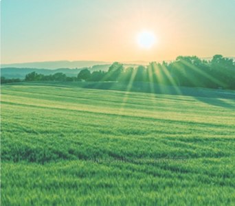 Купити ділянку, під забудову, Кульпарківська вул., Львів, Франківський район, id 4961667