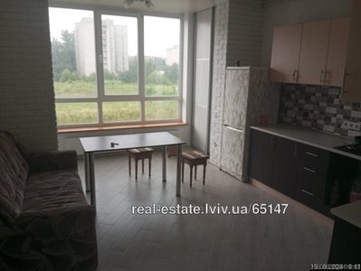 Rent an apartment, Truskavecka-vul, Lviv, Frankivskiy district, id 4821743