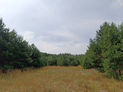 Buy a lot of land, Lelekhovka, Yavorivskiy district, id 4799943